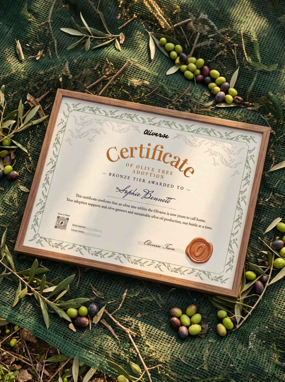 A framed Oliverse certificate of olive tree adoption lying on a green harvest net among olive branches and fresh olives, awarded to an adopter by name